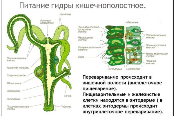 Кракен рабочая ссылка