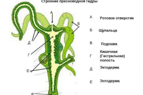 Кракен даркнет сайт на русском