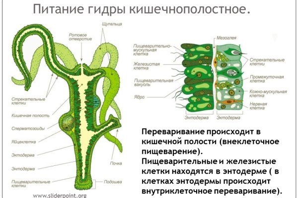 Кракен вход магазин