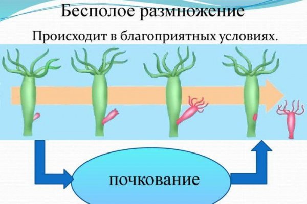 Кракен kr2web in магазин